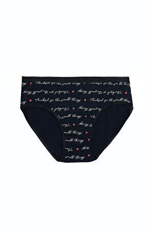 Büyük Beden Pamuklu Likralı Karışık Renkli 3'lü Külot