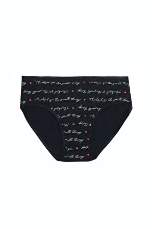 Büyük Beden Pamuklu Likralı Karışık Renkli 3'lü Külot