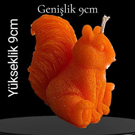 dekorati şankın sincap modeli mum