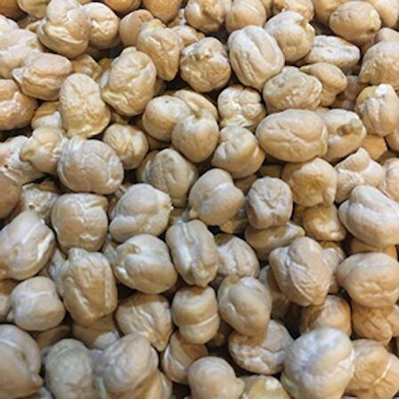 TohumBaba Nohut Tohumu Pakette 15 Adet Tohum