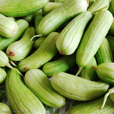TohumBaba Acur Tohumu Badem Pakette 15 Adet Tohum