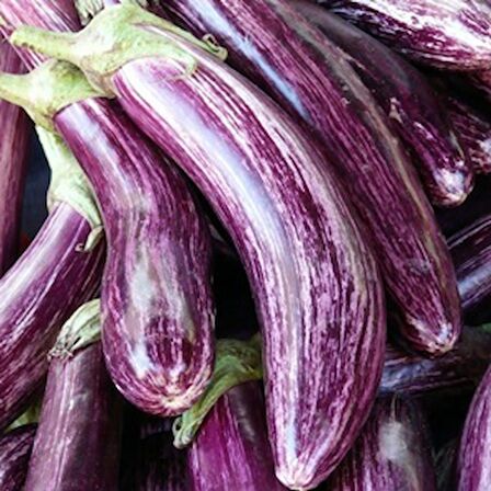 TohumBaba Patlıcan Tohumu Uzun Alaca Pakette 25 Adet Tohum