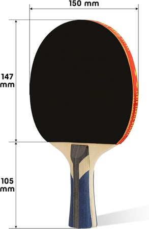 4LÜ Çantalı Masa Tenisi Raketi Seti Amatör Başlangıç Seviye Maç Raketi 2 Raket 2 Top