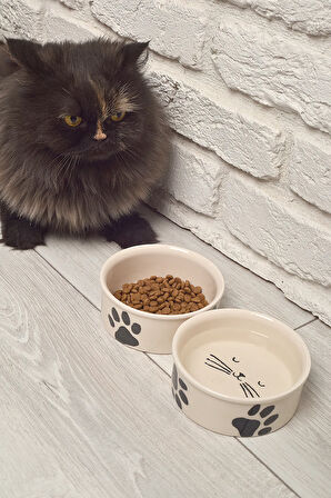 2li Seramik Kedi köpek mama kabı 12cm (300ml)