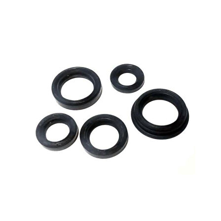 Motobir Keçe Seti 5'li Tvs Wego