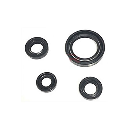 Motobir Keçe Seti 4'lü Bajaj Pulsar Ns200