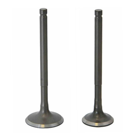 Motobir Emme Egzoz Sübap Takımı Wego