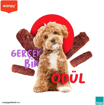 Wanpy Oven Roasted Gerçek Ördek Fileto 100 g Köpek Ödülü, Küçük Köpekler