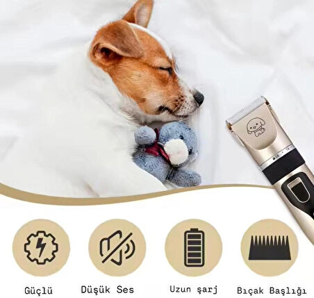 Suya Dayanıklı 10 In 1 Şarjlı Kedi Köpek Tıraş Makinesi Seti Pet Evcil Hayvan Tüy Kesme Bakım Seti
