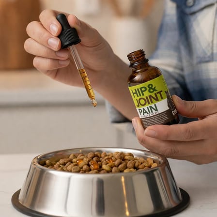 Kedi Ve Kopek Kalca Ve Eklem Sagligi Agri Yonetimi Glukozamin, Kondroitin, Boswellia, Msm, Hyaluronic Acid, Kolajenler Saglikli Yaslanma, Uyku Kalitesi Eklem Yaglanmasi Ve Sertlesmesi Giderici