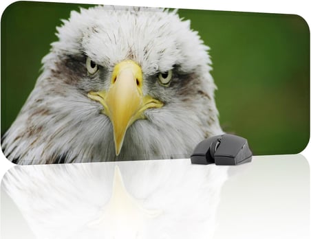 Kartal Oyuncu Gaming Mouse Pad Kauçuk Kaymaz Taban Mousepad (V1, 70x30 XL)
