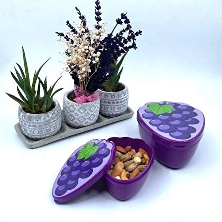 İpek Yıldızı® 2'li İç İçe Geçebilen Üzüm Model Saklama ve Beslenme Kabı Seti (550 ml + 250 ml)