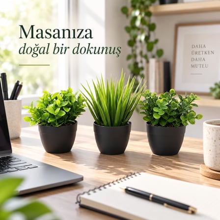 3’lü Mini Yapay Çiçek Sukulent Seti, Saksılı Yapay Sukulent Bitki, Dekoratif Masaüstü Mini Bitkiler, Ev ve Ofis Dekoru, 8 cm (SİYAH)