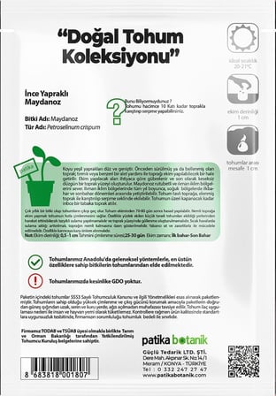 2500 Adet İnce Yapraklı Maydanoz