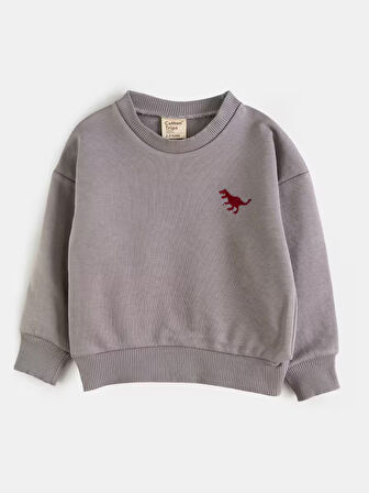 AYSBEBE Dinazor Nakışlı Kışlık Çocuk Takım Unisex (2 İPLİK)