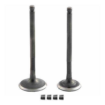 Vtc Emme Egzoz Sübap Takımı Cygnus L 100