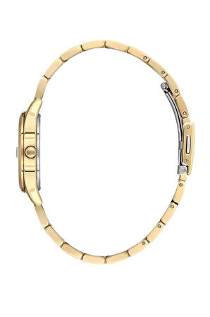 Daniel Klein DK.1.13782-8 Kadın Kol Saati 250057613D32K