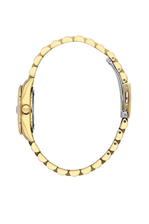 Daniel Klein DK.1.13969-5 Kadın Kol Saati 250057617D32K