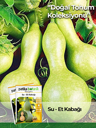 5 Adet Su - Et Kabağı (lagenaria Siceraria) Tohumu