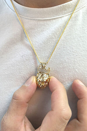 3.5 Cm Erkek Aslan Altın Kolye
