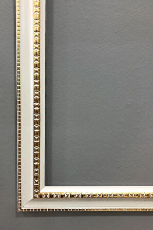 Gold Çerçeveli Kedi Tablosu Portresi 50x70CM