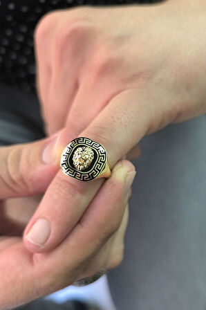 Dolgun Kare Altın Aslan Yüzük