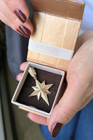 Altın Boyutlu Kuzey Yıldızı Kolye Ucu