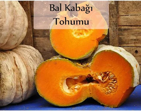 Bal Kabağı Tohumu 1 Paket (10Gr = 35 + Adet) Kabak Tohumu