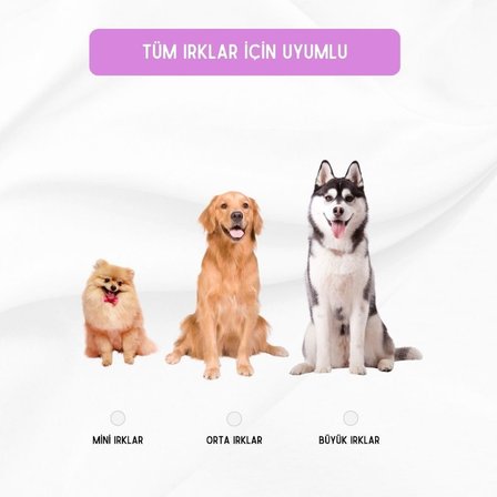 4 ADET Köpek Topu Köpek Oyuncağı Top Köpek Eğitim Oyuncağı - Köpek Oyun Topu