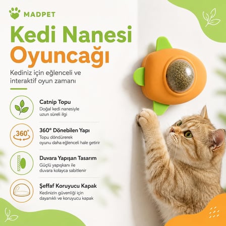 SOGUD Kedi Nanesi Oyuncağı - Kedi Otu İçeren 360° Dönen Catnip Topu - Duvara Yapışan Yalama ve Isırma Oyuncağı - Şeffaf Kapaklı Avokado Tasarım - Ev Kedileri İçin Aktivite Ürünü (1 ADET)