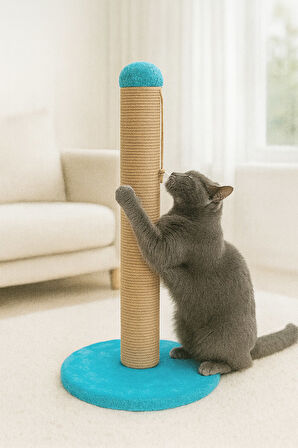 Reyo Pet Yuvarlak Kedi Tırmalama Platformu Mavi