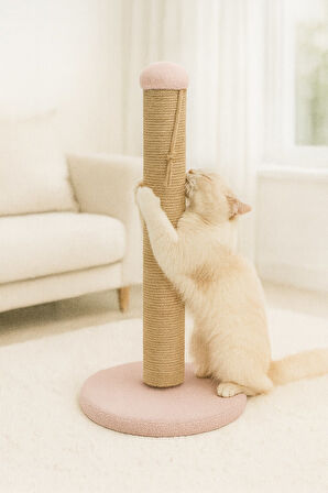 Reyo Pet Yuvarlak Kedi Tırmalama Platformu Pembe