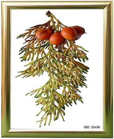 Hediyelik Çerçeve Ev Home Ofis Kişiye Özel Resim Çerçevesi Masaüstü 25x30 25X30-Lam22-Gümüş