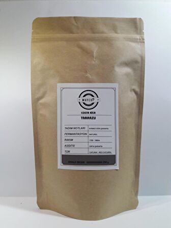 Waycup Coffee Costa Rica Tarrazu Çekirdek Kahve 250gr