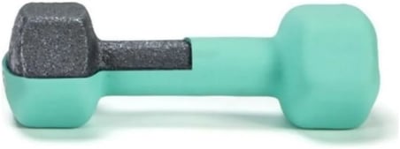 Vinyl Neoprene Dambıl 1 Kg x 2 Adet Mor