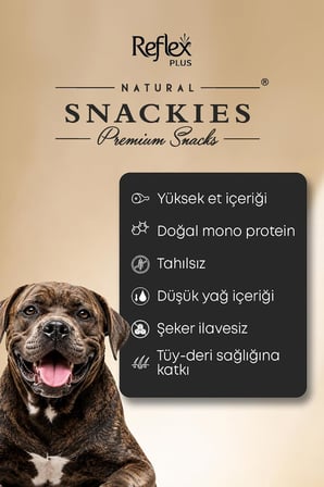 Plus Snackies Natural Füme Somon Etli Şeritler Premium Köpek Ödül Maması 170 g