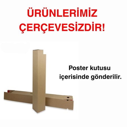 Besay Uzak Doğu Esintisi | Salon Ve Ofis Duvar Dekorasyonu | Japon Kültürü Pop Art Kadın Posteri | 3'Lü Set A3 Çerçevesiz
