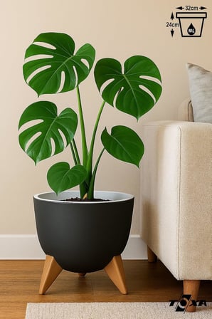 10 Litre 32cm Küre Saksı Ayaklı Delikli Süzgeçli Plastik Çiçek Saksısı Antrasit