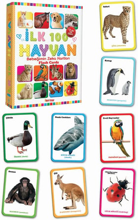 Ilk 100 Hayvan Bebeğimin Zeka Kartları