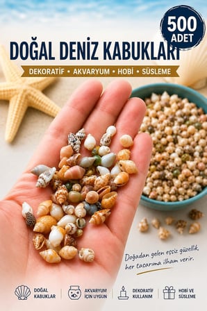 500 Adet Natural Minik Akvaryum Deniz Kabuğu Nassa Shell Karışık Minyatür Deniz Kabuğu