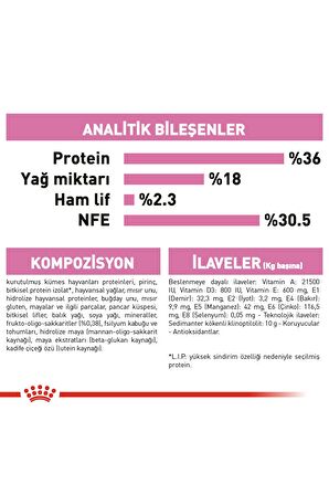 4 Kg Vakumlu Royal Canin Kitten Yavru Kedi Maması Yüksek Proteinli