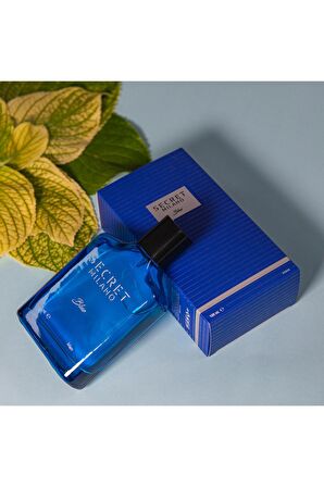 Blue Erkek Parfüm 100 ml Edt