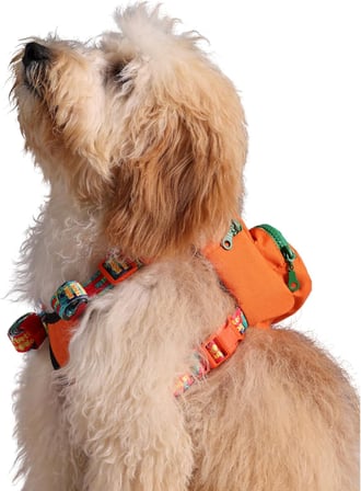 Design, Gimme Five, Turuncu Çantalı Göğüs Tasması,Köpek Sırt Çantası – Göğüs Tasması İşlevli, Geri Dönüştürülmüş Malzeme, Ayarlanabilir,