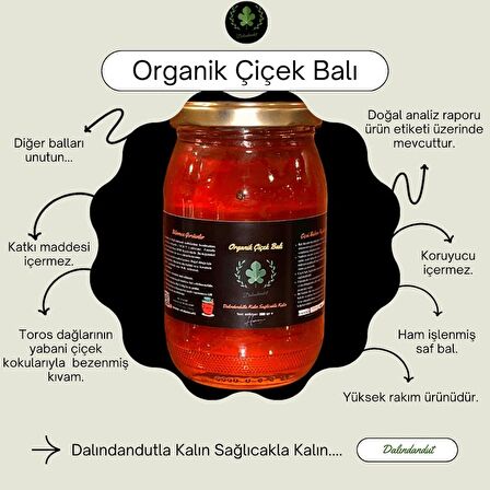 Yeni Mahsül Doğal Organik Çiçek Balı 500 gr