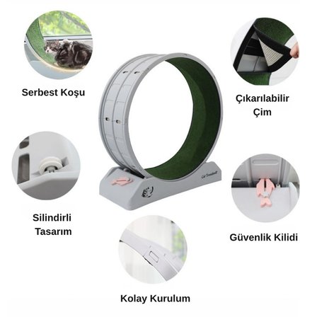 Kedi Egzersiz Çarkı – Sessiz Dayanıklı Koşu Bandı, Kedi Tekerleği ve Küçük Köpek Fitness Çarkı