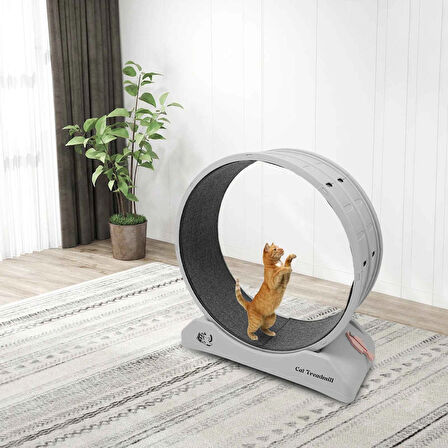 Kedi Egzersiz Çarkı – Sessiz Dayanıklı Koşu Bandı, Kedi Tekerleği ve Küçük Köpek Fitness Çarkı