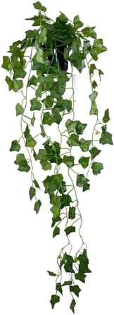 Yapay Çiçek Saksıda Sarkan Sarmaşık 9dal Hedera 80cm Yapay Sarmaşık Yeşil