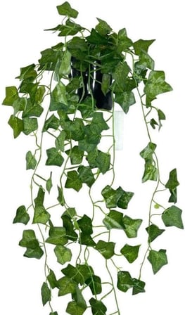 Yapay Çiçek Saksıda Sarkan Sarmaşık 9dal Hedera 80cm Yapay Sarmaşık Yeşil
