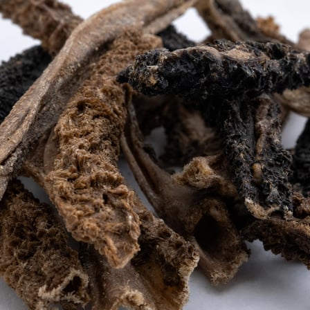 Chompo Kuzu İşkembe Çubukları 100% Doğal Katkısız Köpek Ödül Maması 100 Gr