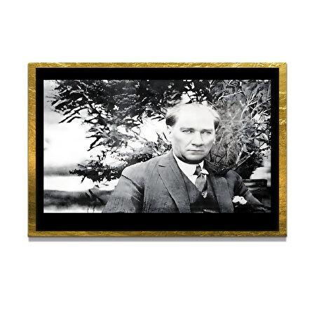Gazi Mustafa Kemal Atatürk ÖZEL SERİ^# Miyrem  Design Cam Tablo Model: 169